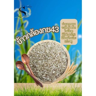 ข้าวกล้องกข43 ขนาดทดลอง 500 กรัม ตราทรัพย์ธนา หอม นุ่ม อร่อย ได้ประโยชน์เต็มเมล็ด