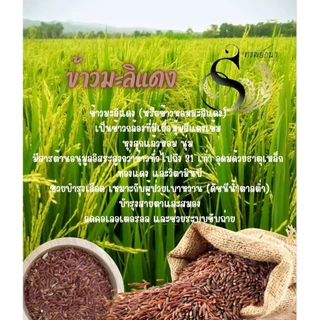 ข้าวมะลิแดง ตราทรัพย์ธนา ขนาด500กรัม คุ้มค่า น่าลองที่สุดวันนี้