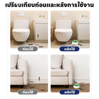 🦎เจลกำจัดจิ้งจก 10 ชิ้น/กล่อง เหยื่อกำจัดจิ้งจก ไล่ตุ๊กแก เห็นผลไว วางง่าย ใช้ในบ้าน ห้องครัว ห้องน้ำ
