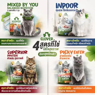 Clover อาหารแมว โคลเวอร์ ultra holistic & grain-free ตัวแน่นถนอมไต ขนาด 400 กรัม 1 และ 1.5 กิโลกรัม