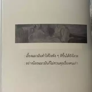 ( มีบริการส่งด่วน ) หนังสือ The Remains — แด่รักร่วงโรย โดยนักเขียนไทยคุณดาหลา