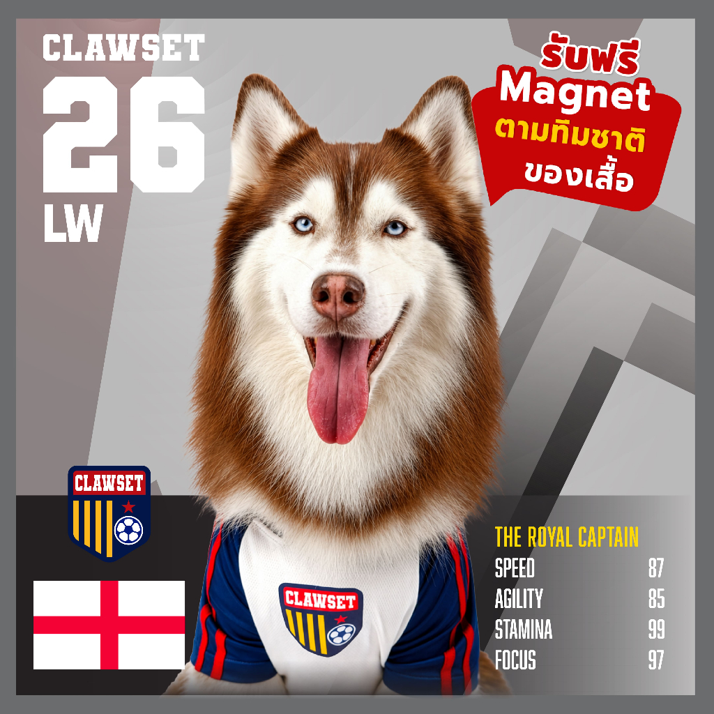 PAW WORLD CUP 2026 เสื้อฟุตบอลทีมชาติอังกฤษ แถมฟรี! Magnet ติดตู้เย็น 6 ลายสุดเท่ห์เฉพาะชช่วง Pre-orderนี้เท่านั้น