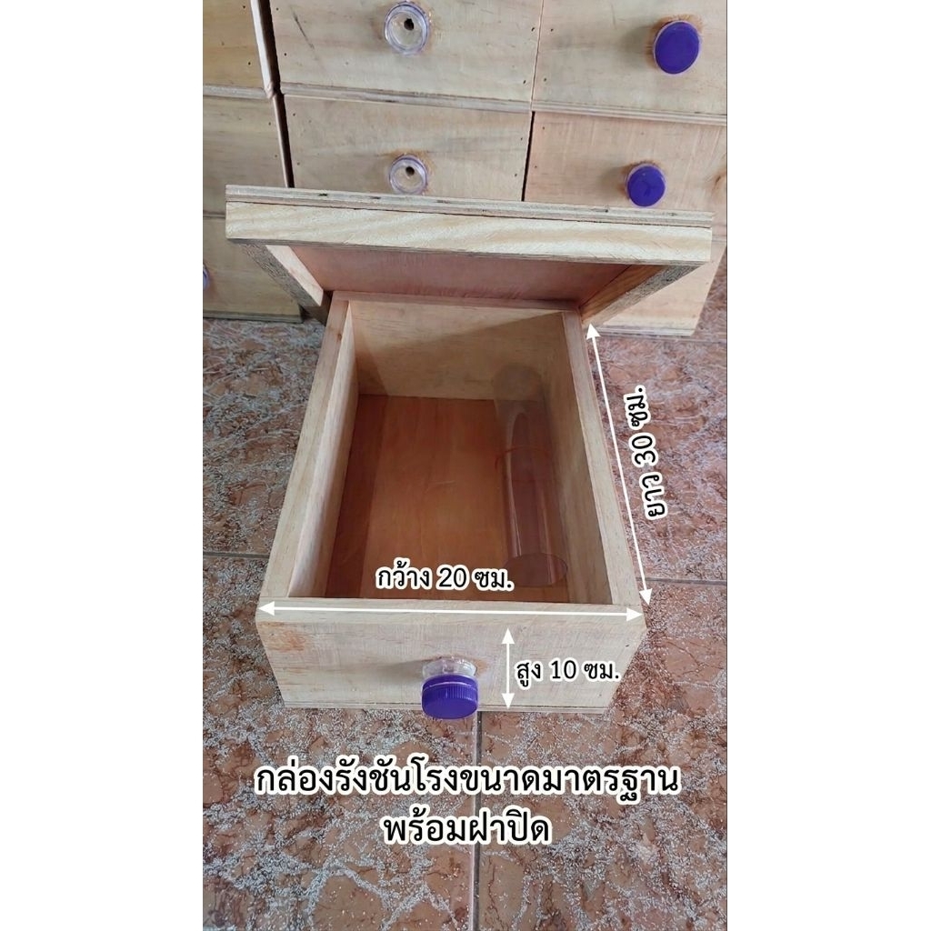 กล่องรังชันโรง *สูง10cm.แถมแผ่นใส* ขนาดมาตรฐานA4 20x30x10cm.พร้อมฝาปิด