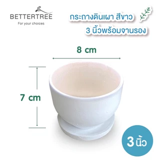 ต้นไม้พร้อมปลูก(กระถางดินเผาสีขาว 3 นิ้ว พร้อมจานรอง)✅ฟรี หินตกแต่ง
