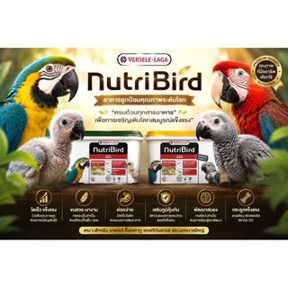 NutriBird A19 อาหารลูกป้อนนก Versele-Laga สูตรไขมันและพลังงานสูง สำหรับมาคอว์ แอฟริกันเกรย์ เอ็กเล็กตัส 3kg ของแท้