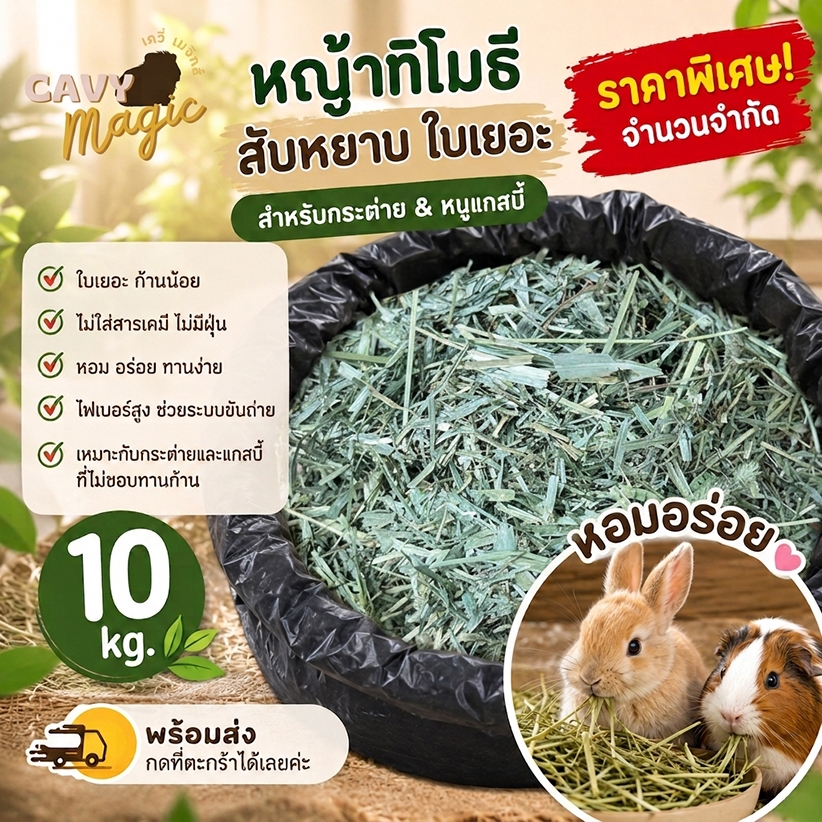 ทิโมธีสับหยาบใบเยอะ ขนาดใหม่จุใจ 10 กิโล (ร่อนฝุ่น) หอม ทานง่าย สำหรับกระต่าย แกสบี้และสัตว์ฟันแทะ ที่หัดทานทิโมธี