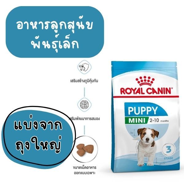 [[แบ่งขาย]] (แพ็คสุญญากาศ) Royal Canin Mini Puppy  อาหารเม็ดลูกสุนัข พันธุ์เล็ก อายุ 2-10 เดือน