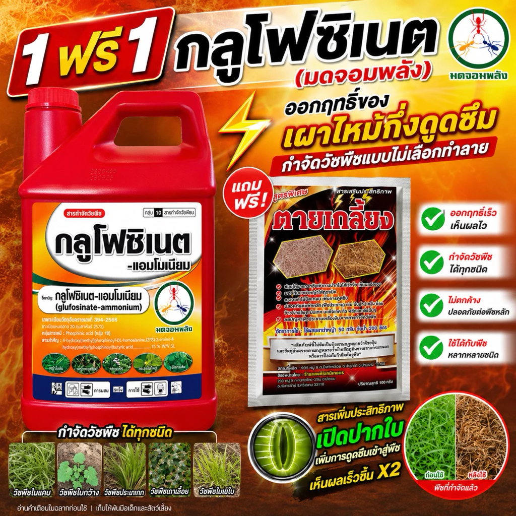 (1ฟรี1 )กลูโฟซิเนต ขนาด 4 ลิตร (มดจอมพลัง) ออกฤทธิ์เผาไม้กึ่งดูดซึม (สูตรพิเศษ) (แถมฟรีตายเกลี้ยงเข้มข้น1 ซอง)