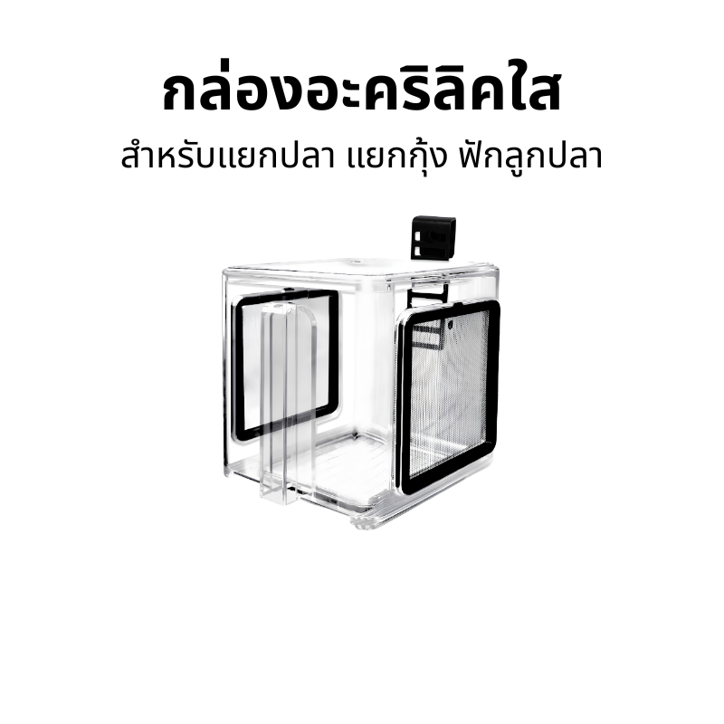 ISOLATION BOX ACRYLIC+ กล่องอนุบาลปลาและกุ้ง กล่องอะคริลิคใสสำหรับแยกปลา พักปลา ฟักลูกปลา
