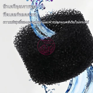 กรองฟองน้ำ เครื่องกรองเพิ่มออกซิเจน ใช้กับปั๊มลม SPONGE FILTER