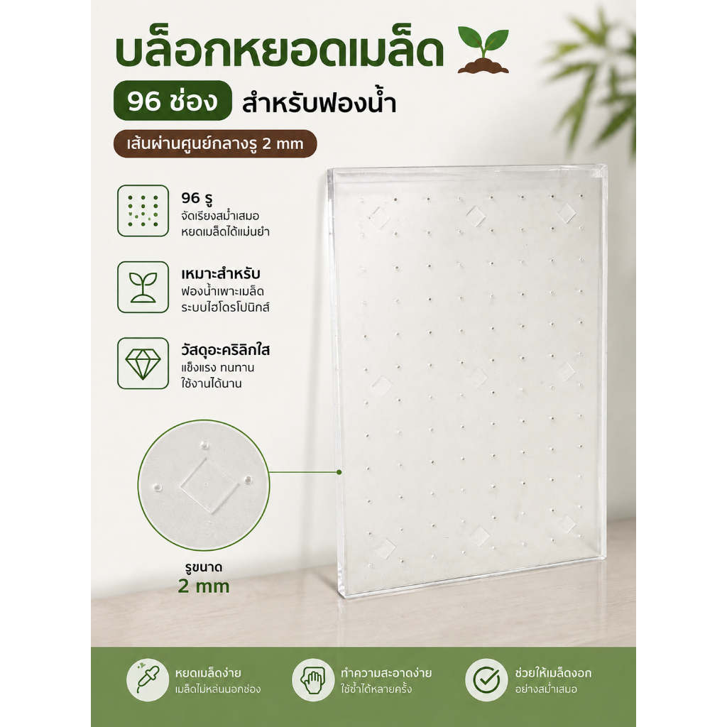 บล็อกเพาะเมล็ด ขึ้นฉ่าย 96 ช่อง รูปที่ 7