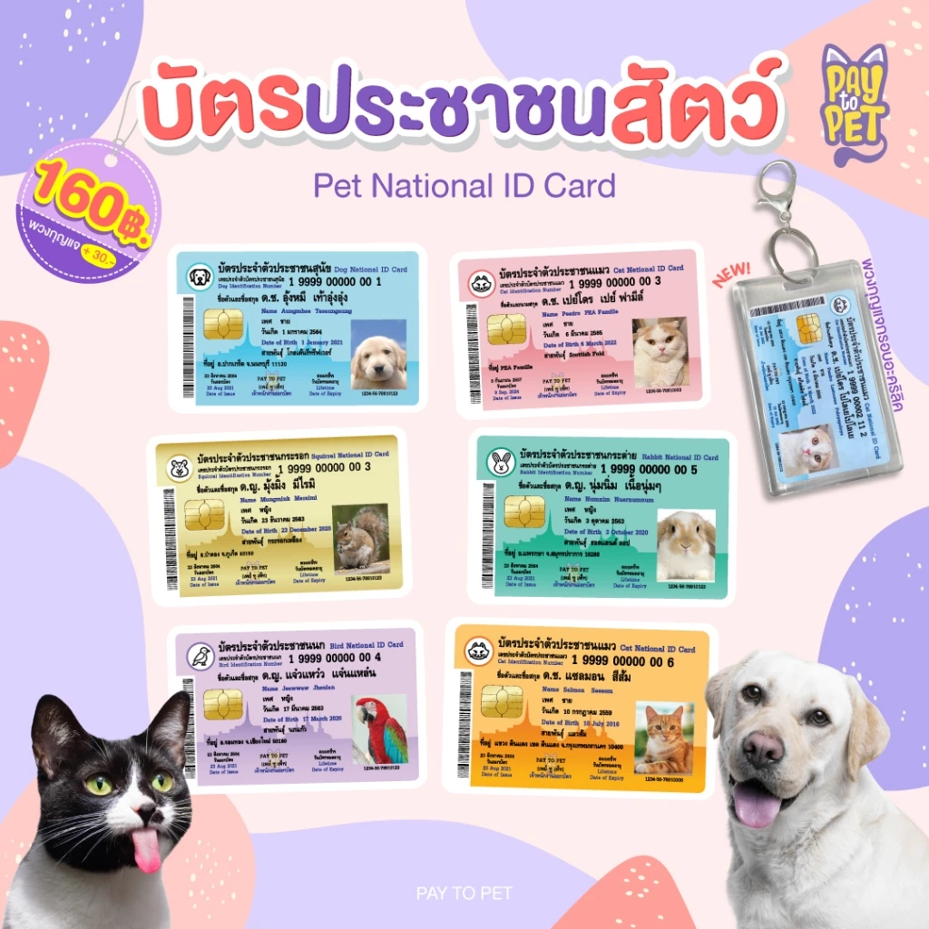 บัตรประชาชนสัตว์เลี้ยง 🐱 บัตรแข็ง PVC (ทักร้านค้าก่อนกดสั่งซื้อ) Pet ID Card