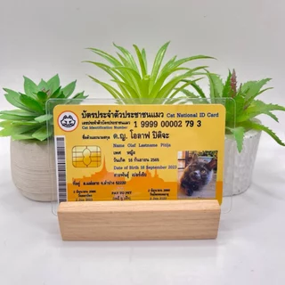 บัตรประชาชนสัตว์เลี้ยง 🐱 บัตรแข็ง PVC (ทักร้านค้าก่อนกดสั่งซื้อ) Pet ID Card