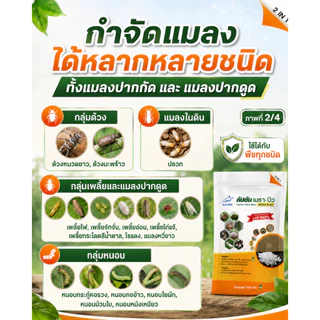 กัปตันเมธาบิว สูตรเข้มข้นเชื้อ 2 เท่า อัพอาหารเชื้อ บิวเวอร์เรีย+เมธาไรเซียม แบบผง(100กรัม)