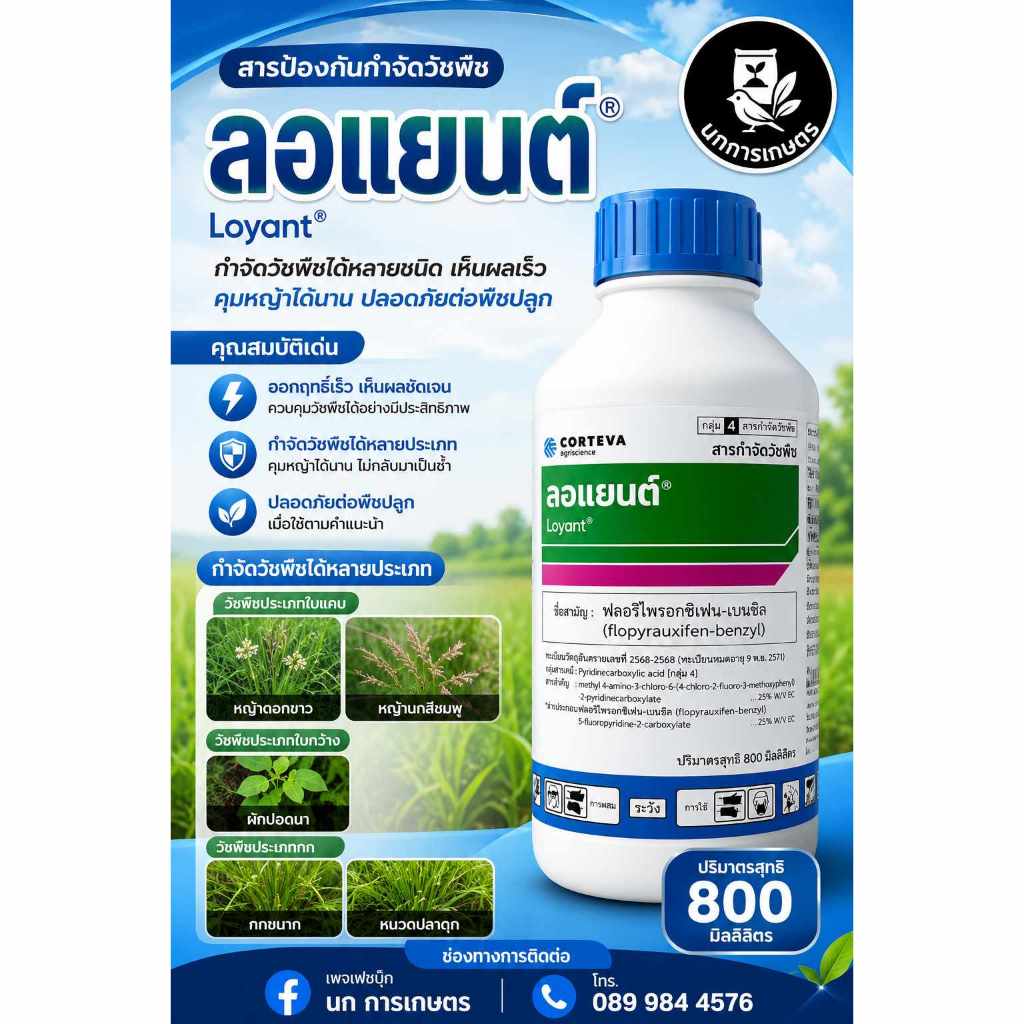 💥ลอแยนต์(ฟลอร์ไพรอซิเฟน-เบนซิล) สารกำจัดวัชพืช ปริมาณสุทธิ 800 มิลลิลิตร