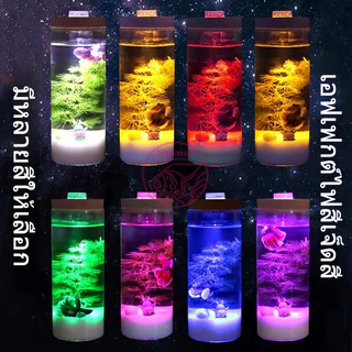 ไฟแต่งตู้ปลa ไฟled ขนาดเล็ก ไฟ LED ใส่ตู้ปลa ไฟตู้ปลาขนาดเล็ก LED กันน้ำ โคมไฟตู้ปลa ไฟแต่งตู้ปลa โคมไฟขนาดเล็ก