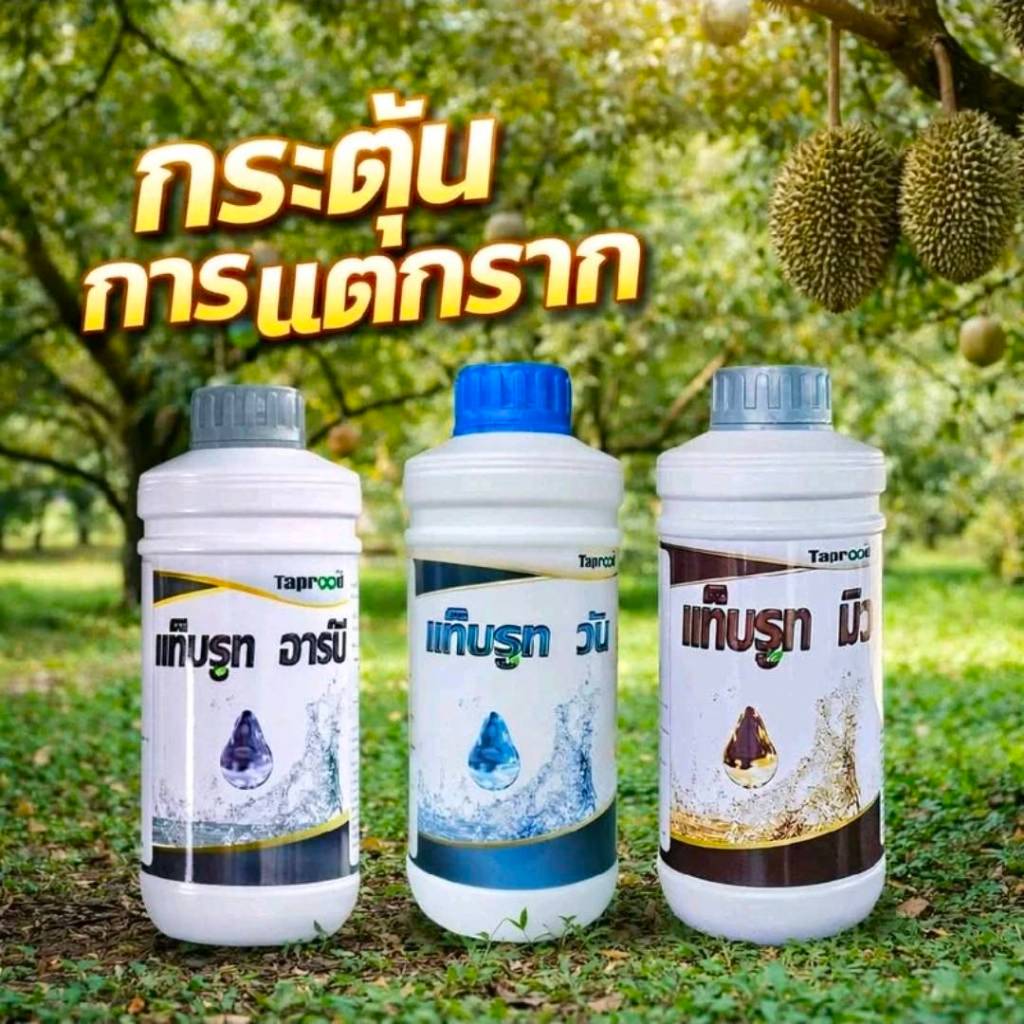 ชุดกระตุ้นการแตกราก แท็บรูท อาร์บี+วัน+มิว