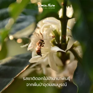 น้ำผึ้งป่าเดือนห้า Premium Wild Honey Lemon Farm น้ำผึ้งจากธรรมชาติ
