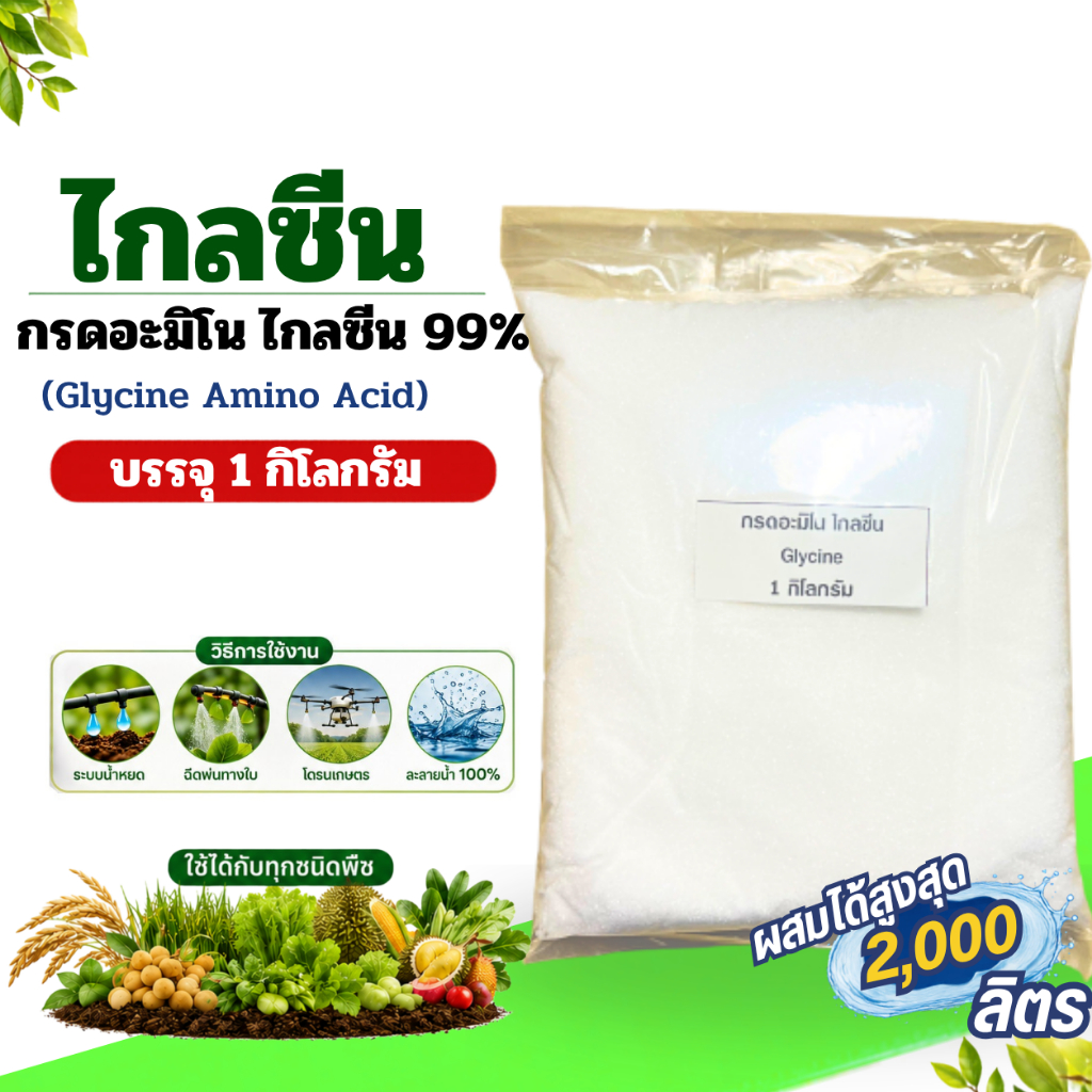 กรดอะมิโนไกลซีน99% พัฒนาเนื้อเยื่อพืช กระบวนการสังเคราะห์แสง บรรจุ 1 กิโลกรัม