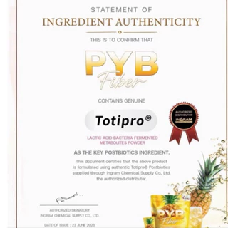 PYB Fiber ไฟเบอร์ผู้ใหญ่บ้านฟินแลนด์💛