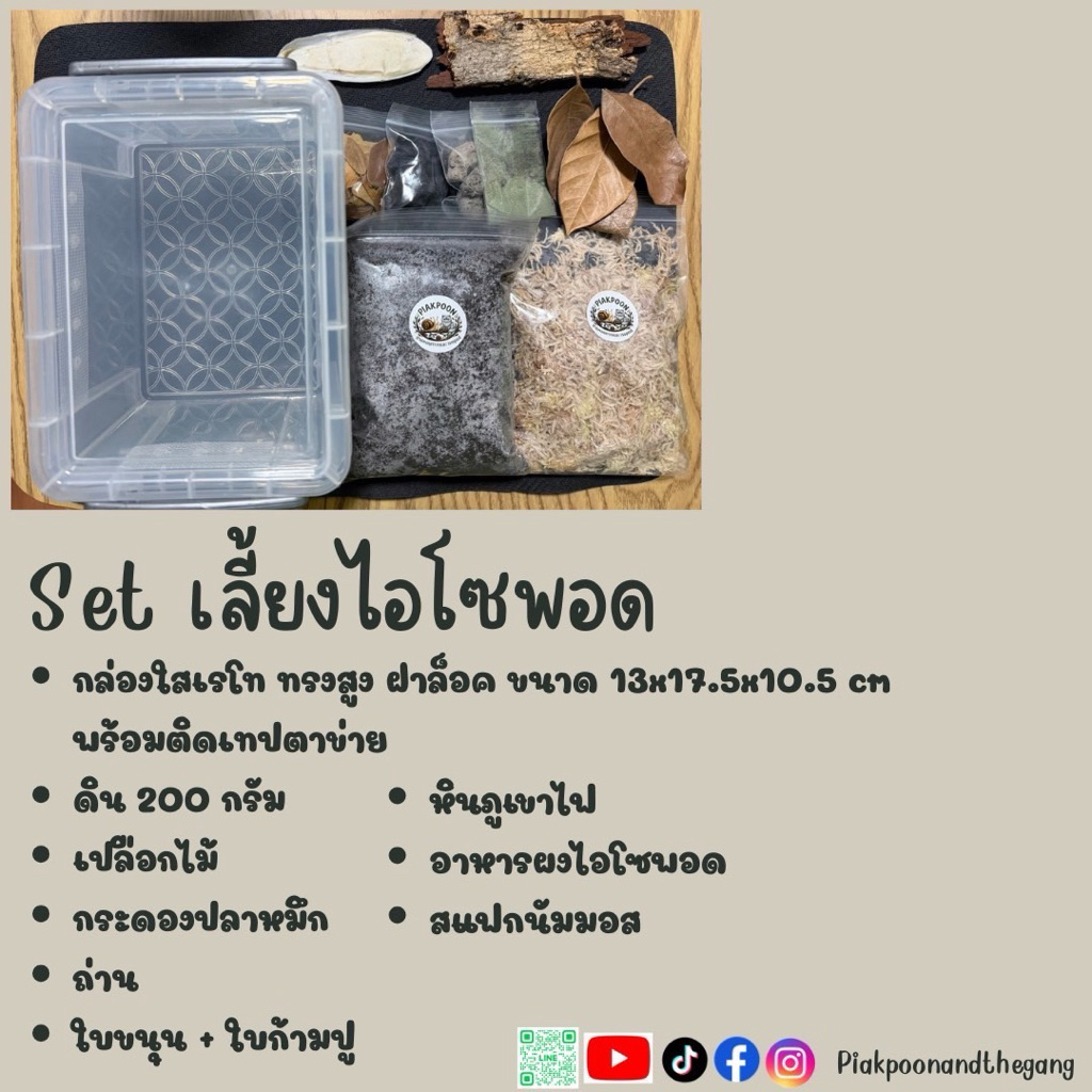 เซ็ตเลี้ยงไอโซพอตสุดคุ้ม