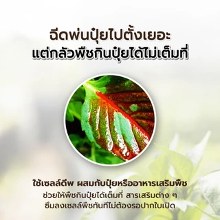 Pack 1 X 500 CC พฤกษ์มณี เซลล์ดีพ สารซึมเซลล์ แบบขวด เหมาะกับพืชทุกชนิด ใช้ร่วมกับ ปุ๋ย สารเสริมพืช สารกำจัดแมลง