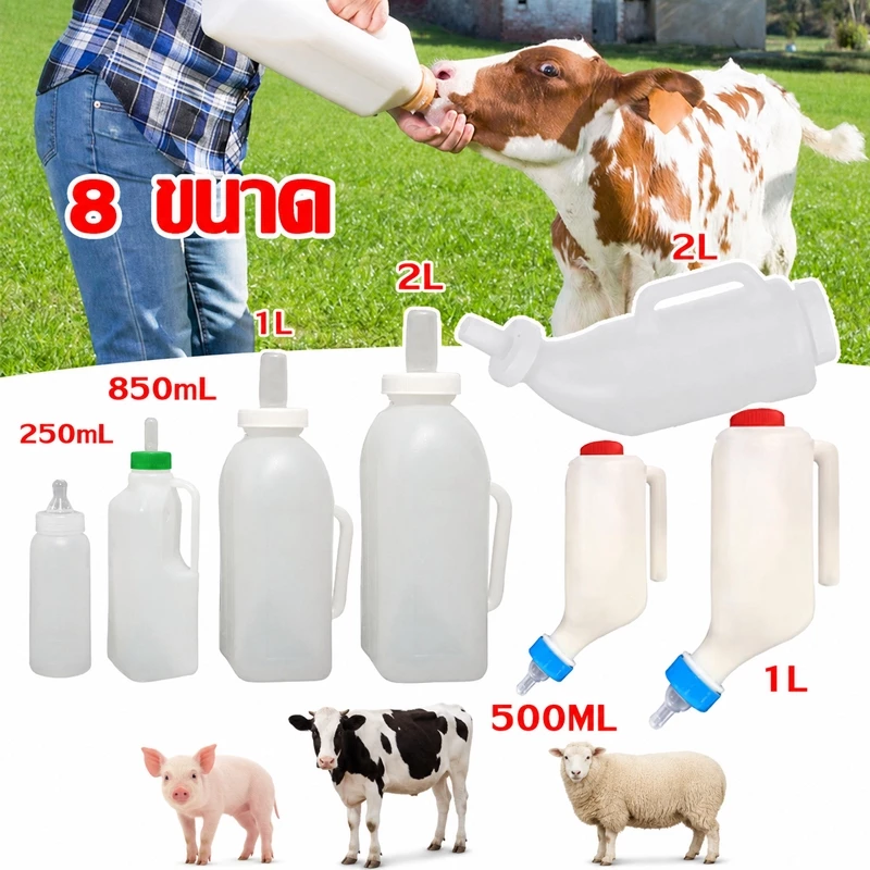 พร้อมส่ง ขวดนมวัว 250/500/850ml 1/2L ขวดนมสัตว์ใหญ่ ขวดนมสำหรับสัตว์ใหญ่แรกเกิด พร้อมจุกนม สำหรับ หมา หมู วัว แพะ แกะ