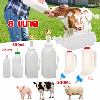 พร้อมส่ง ขวดนมวัว 250/500/850ml 1/2L ขวดนมสัตว์ใหญ่ ขวดนมสำหรับสัตว์ใหญ่แรกเกิด พร้อมจุกนม สำหรับ หมา หมู วัว แพะ แกะ
