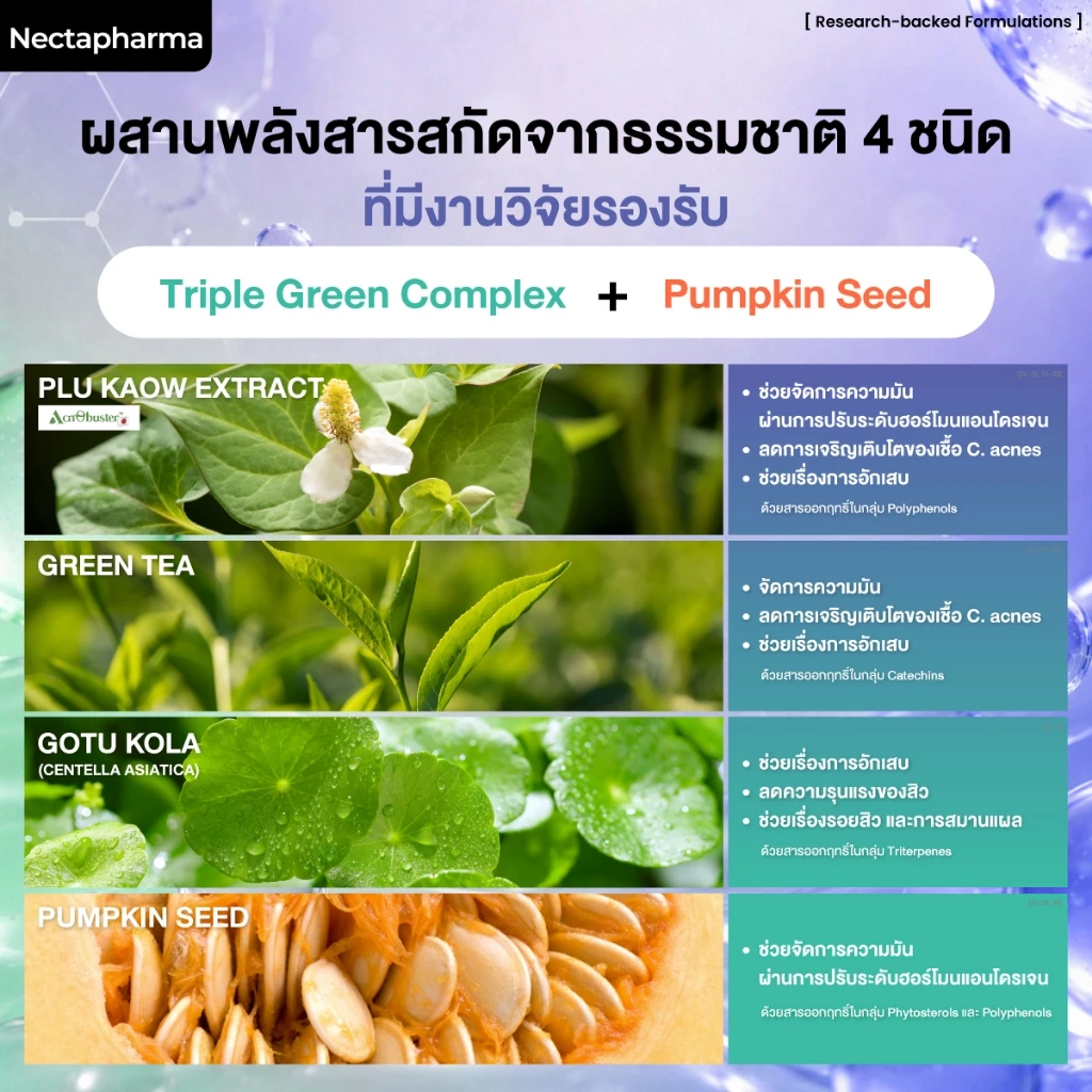 Nectapharma Pearletane เพิร์ลลีเทน วิตามินสวบสิว กู้หน้าสิว บิ๊วหน้าใส วิตามินลดสิว ซิงค์ลดสิว ลดสิวฮอร์โมน ลดรอยสิว thumbnail 8
