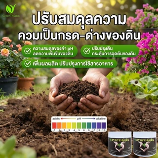 【GreenThumb】ชุดปุ๋ยบำรุงพืช โพแทสเซียมไดไฮโดรเจนฟอสเฟต+สารปรับปรุงดิน เร่งใบ ดอกเยอะ ปรับดินให้มีประสิทธิภาพ[ชุด 1แถม1]