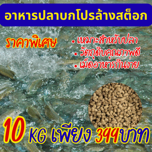 อาหารปลาโปรตีนสูง 10kg โปรล้างสต็อก ราคาพิเศษ