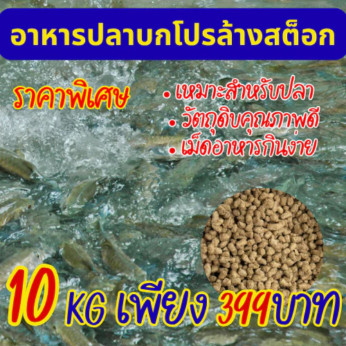 อาหารปลาโปรตีนสูง 10kg โปรล้างสต็อก ราคาพิเศษ