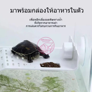 บกเต่า แพลตฟอร์มยืนตากแดดสำหรับเลี้ยงเต่า ที่พักเต่า เต่าญี่ปุ่น มีที่ใส่อาหาร