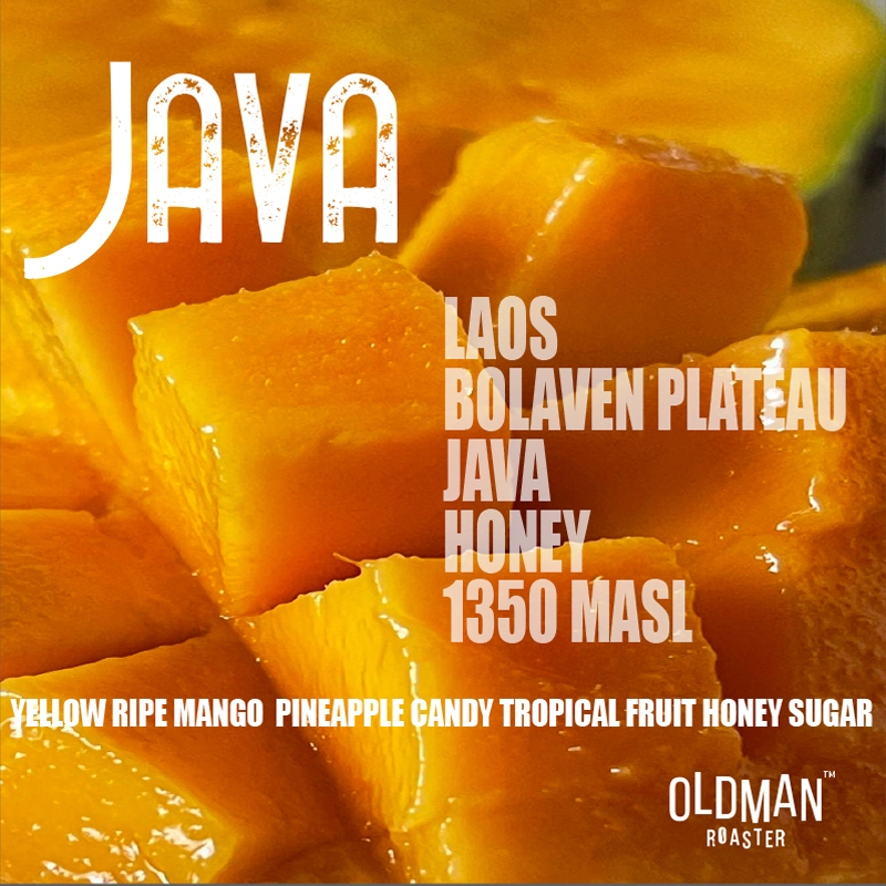 เมล็ดกาแฟ JAVA HONEY  &  JAVA WASEHD (คั่วอ่อน) by OLDMAN ROASTER