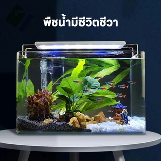 ไฟตู้ปลา Neo Helios Flat XP LED Full Spectrum 10000K ไฟไม้น้ำ ตู้ไม้น้ำ พร้อมขาไฟ แสงสวย ปลาสวยงาม ตู้ปลา