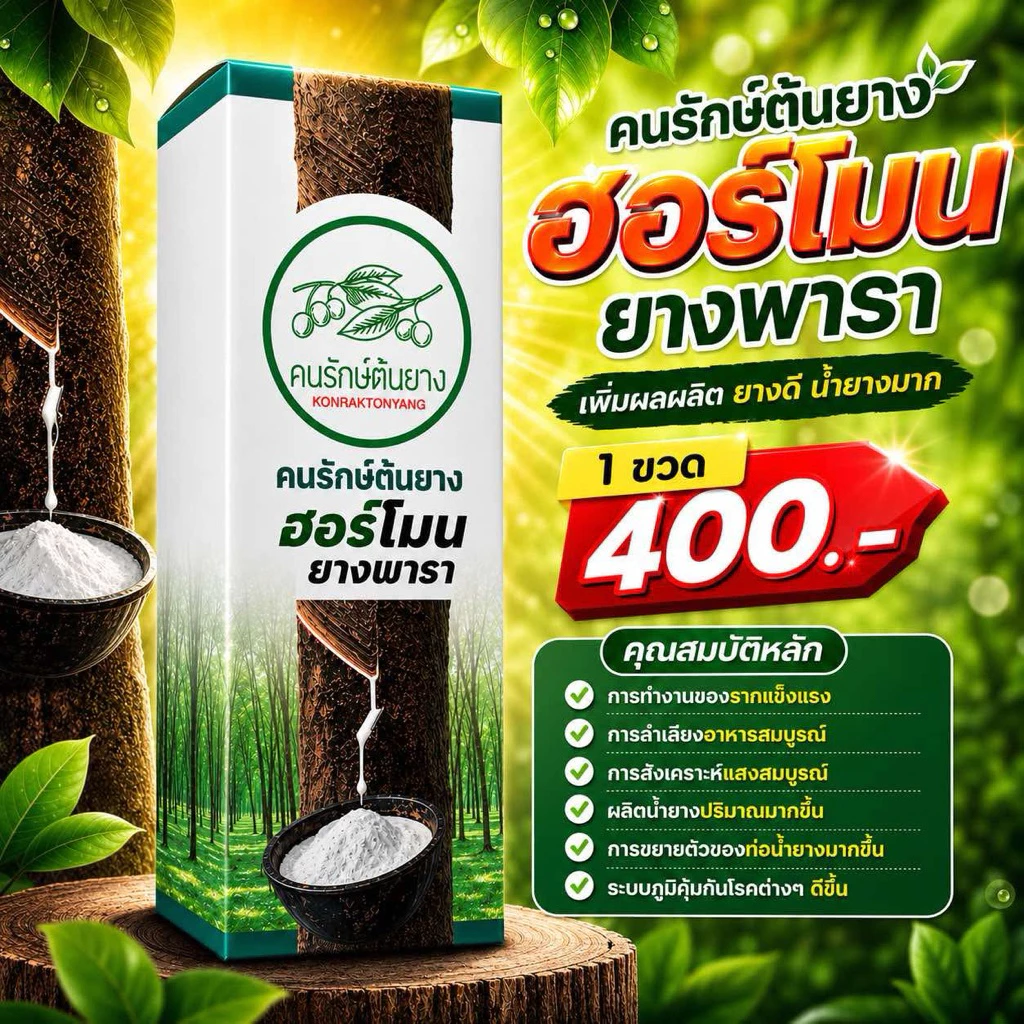 ฮอร์โมนยางพารา✅เพิ่มผลผลิต ✅ลดต้นทุน ✅ประหยัดแรงงาน