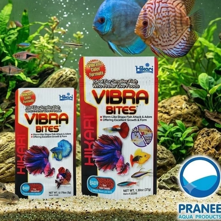 Hikari Vibra Bites Baby สำหรับปลากัด อาหารปลารูปร่างคล้ายหนอน และปลาเล็กทุกชนิด ชนิดเม็ดจมช้า