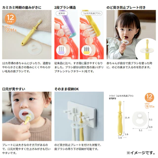 🇯🇵 แปรงสีฟัน​เด็ก​ Richell Baby Toothbrush รุ่นใหม่