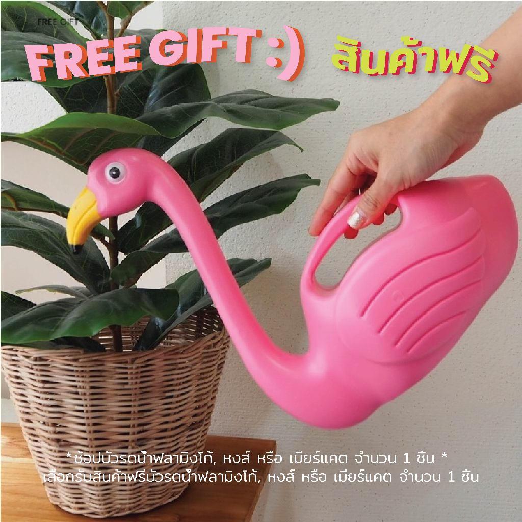 [FREE GIFT] 8ECEMBER - *ห้ามใช้ Link นี้สั่งซื้อสินค้า* ช้อปสินค้าใดก็ได้ในร้าน ครบ 2,500 บาท รับฟรี บัวรดน้ำฟลามิงโก้ 1