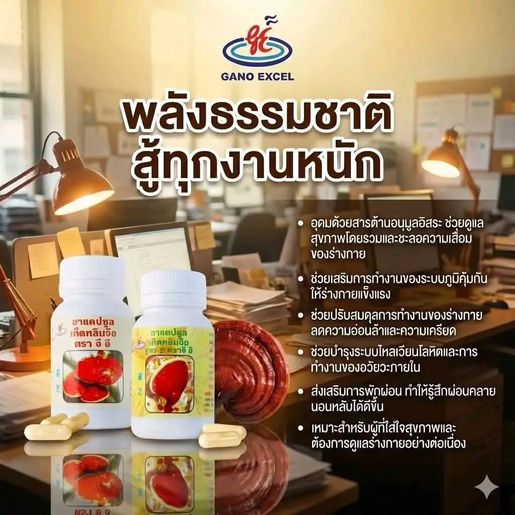 ราก+ดอก หลินจือกาโนเอ็กเซล