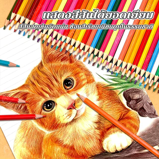 ชุดสีไม้ ดินสอสีน้ำมัน ดินสอสีไม้ ดินสอสี สีไม้ มาสเตอร์อาร์ต รุ่นไส้ใหญ่พิเศษ แท่งยาว สีพาสเทล สีรุ้ง Colour Pencil