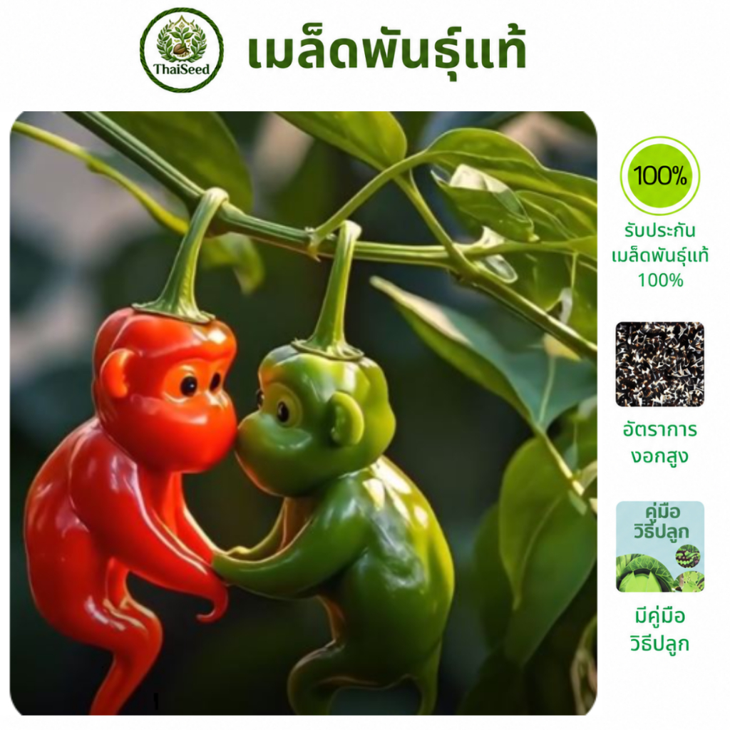 พริกหน้าลิง หลายสี - สายพันธุ์แท้ F1 - Monkey Face Pepper Seeds - Thaiseed