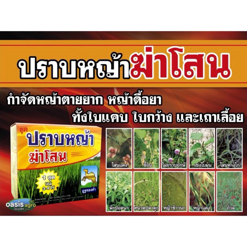 ฆ่าโสน 🌷🌹1 กล่องฉีดได้4-5 ไร่คะ #ปราบหญ้าในนาข้าว ตายดีของแท้ #ยกลังทักแชทนะคะ💯🙏🙏🙏🚚🚛