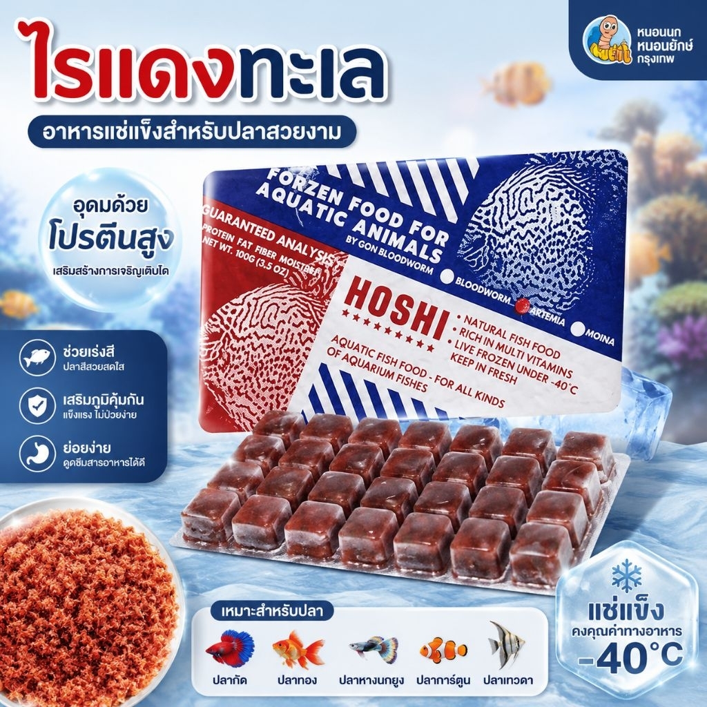 ไรทะเลแช่แข็ง HOSHI Artemia ส่งด่วน ไรแดง อาหารสำหรับอนุบาลสัตว์น้ำ ลูกกุ้ง ปลาหมอ ปลากัด เสือตอ อโรวาน่า อื่น ๆ