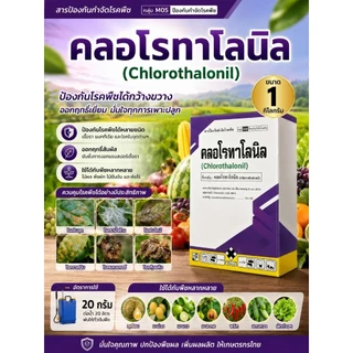 คลอโรทาโลนิล75% ขนาด 1 กิโลกรัม สารป้องกันโรคพืช เชื้อรา โรคใบจุด โรคราน้ำค้าง โรคราสนิม ราแป้ง สารเดียวกับ ดาโคนิล