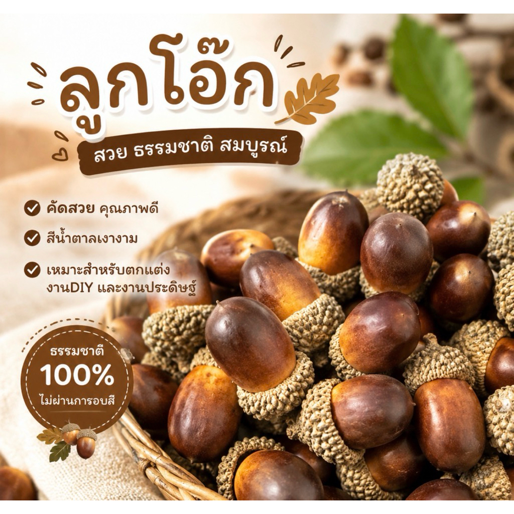 พร้อมส่ง ลูกโอ๊ค acorn ลูกสน ลูกสนธรรมชาติ ของแต่งบ้าน
