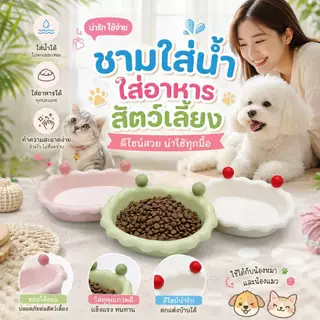 Boqi Factory ชามใส่อาหาร ชามอาหารสัตว์เลี้ยง ชามอาหารแมว ชามสุนัขชามแมว ชามใส่อาหาร ชามใส่น้ำ Cutebowl