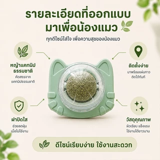 แคทนิปบอล กัญชาแมว หญ้าแมว แคทนิป กันชาแมว แคทนิป แมว กัญชาเเมว แคทนิปแมว catnip แมว ติดกำแพง