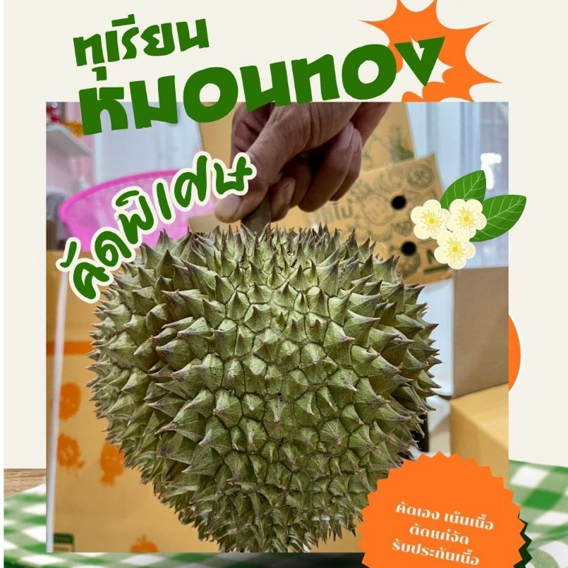ทุเรียนหมอนทอง ตัดแก่จากสวน รับประกันเนื้อ