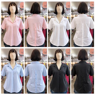 2S-1819-เสื้อเชิ้ตคอปกสาวอวบ ทรงปล่อย ผ้าคอตตอน อกเริ่ม40-54นิ้ว มี4สี ขาว ดำ ชมพู ฟ้า